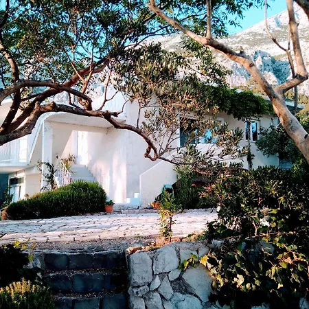 Viki - Seaview & Garden Terrace
